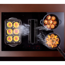 Индукционная варочная поверх.с интегрир. вытяжкой FALMEC ZERO 76 VETRO NERO